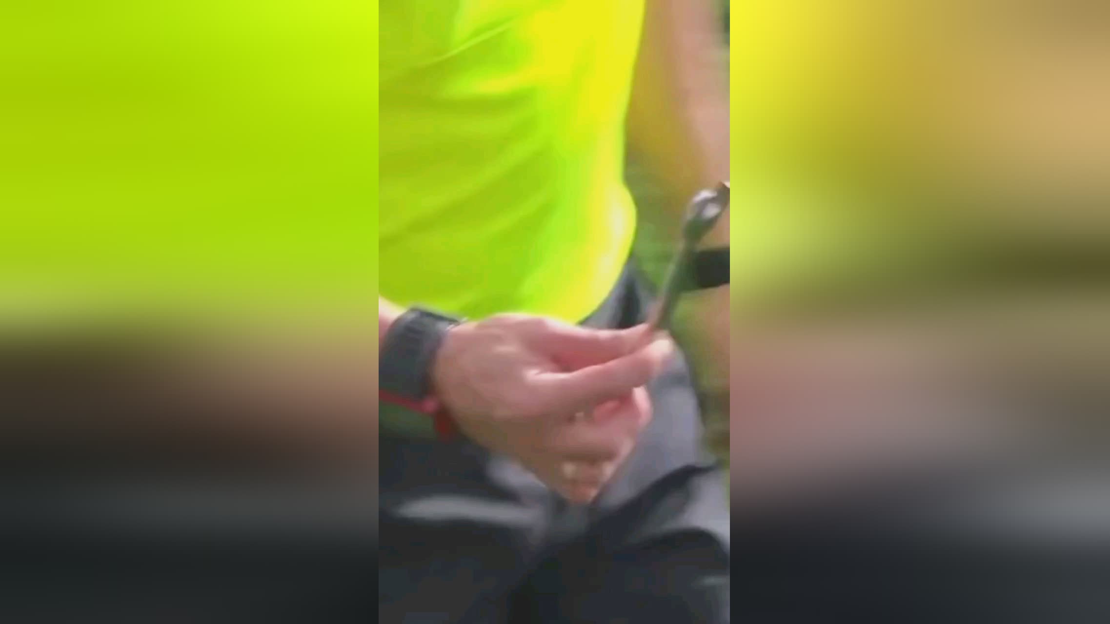 可以让这篇